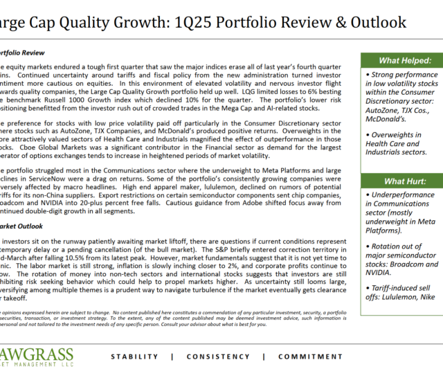 Large Cap Quality Growth – Q1 Commentary