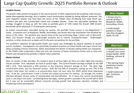 Large Cap Quality Growth – Q2 Commentary