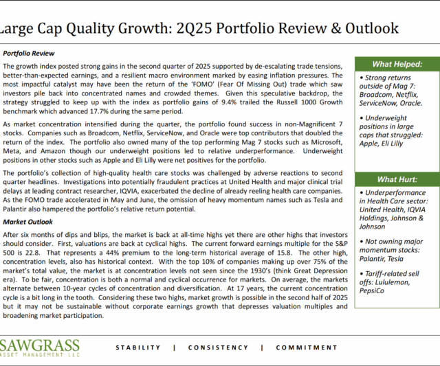Large Cap Quality Growth – Q2 Commentary