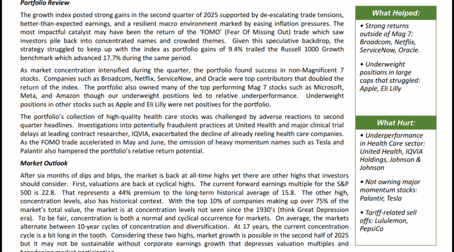 Large Cap Quality Growth – Q2 Commentary