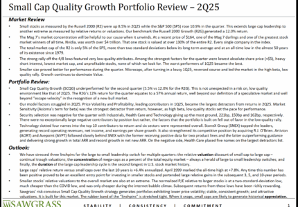 Small Cap Quality Growth – Q2 Commentary