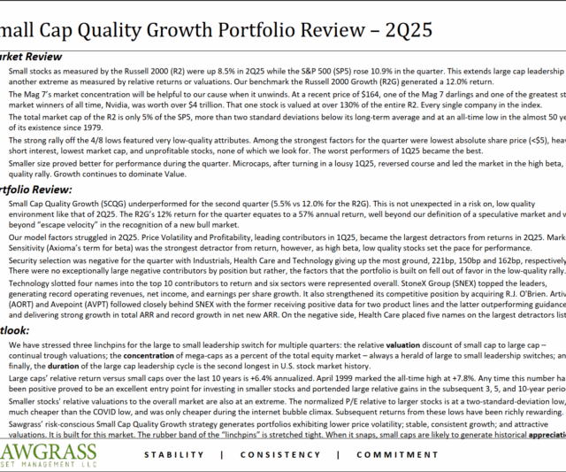 Small Cap Quality Growth – Q2 Commentary