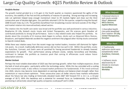 Large Cap Quality Growth – Q4 Commentary