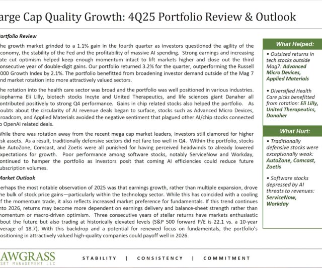 Large Cap Quality Growth – Q4 Commentary