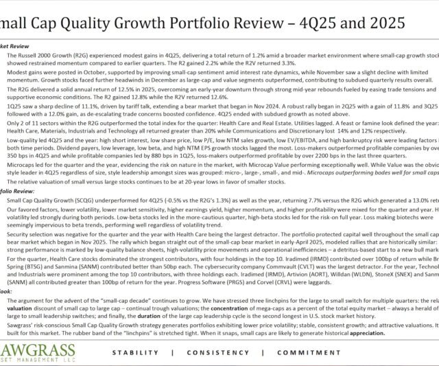 Small Cap Quality Growth – Q4 Commentary